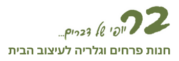 בר פרחים חנות פרחים