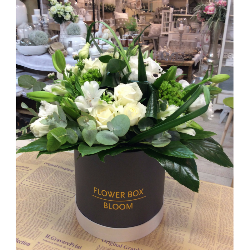 בוקה לבן בפלאוור בוקס